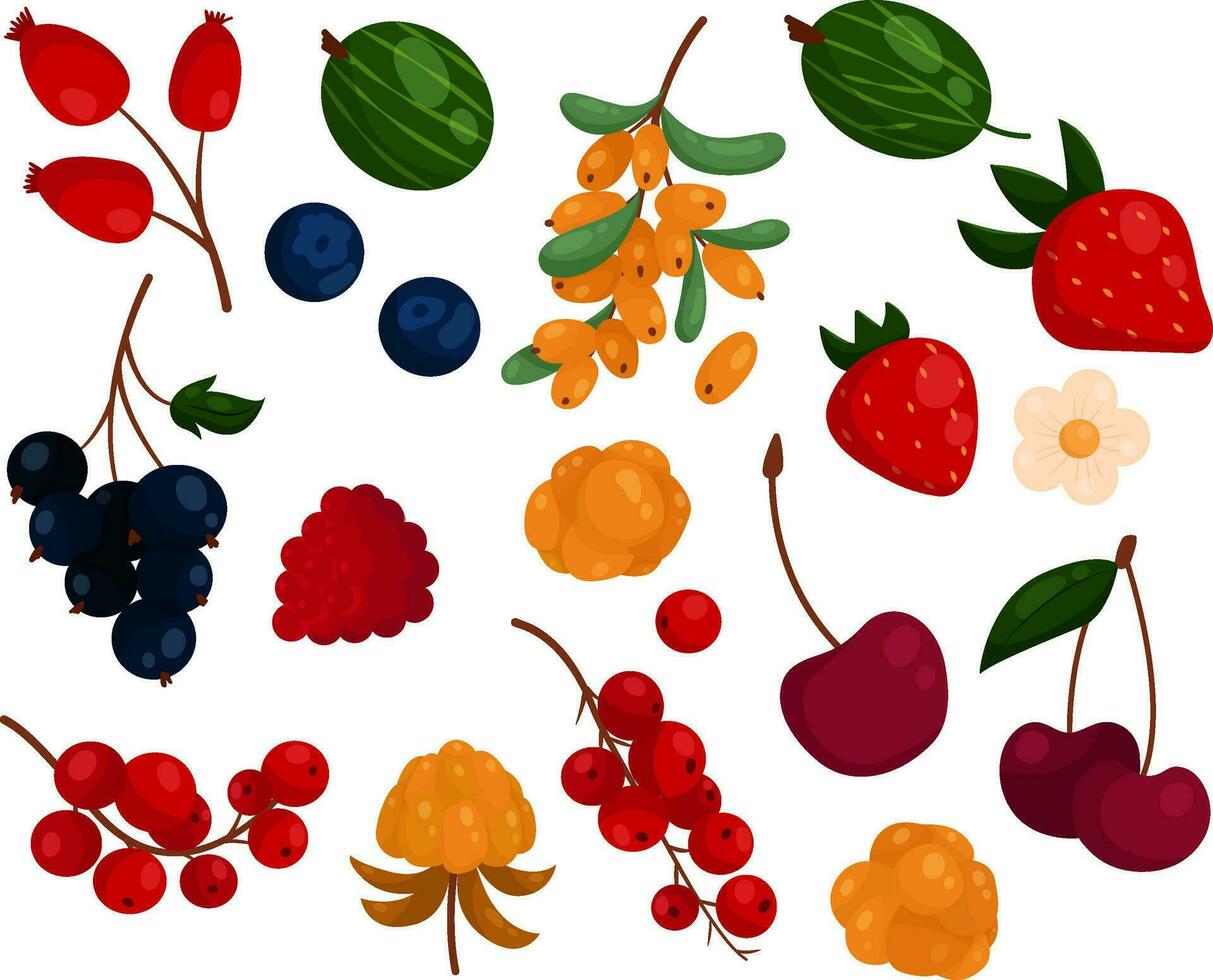 vector set with different berries