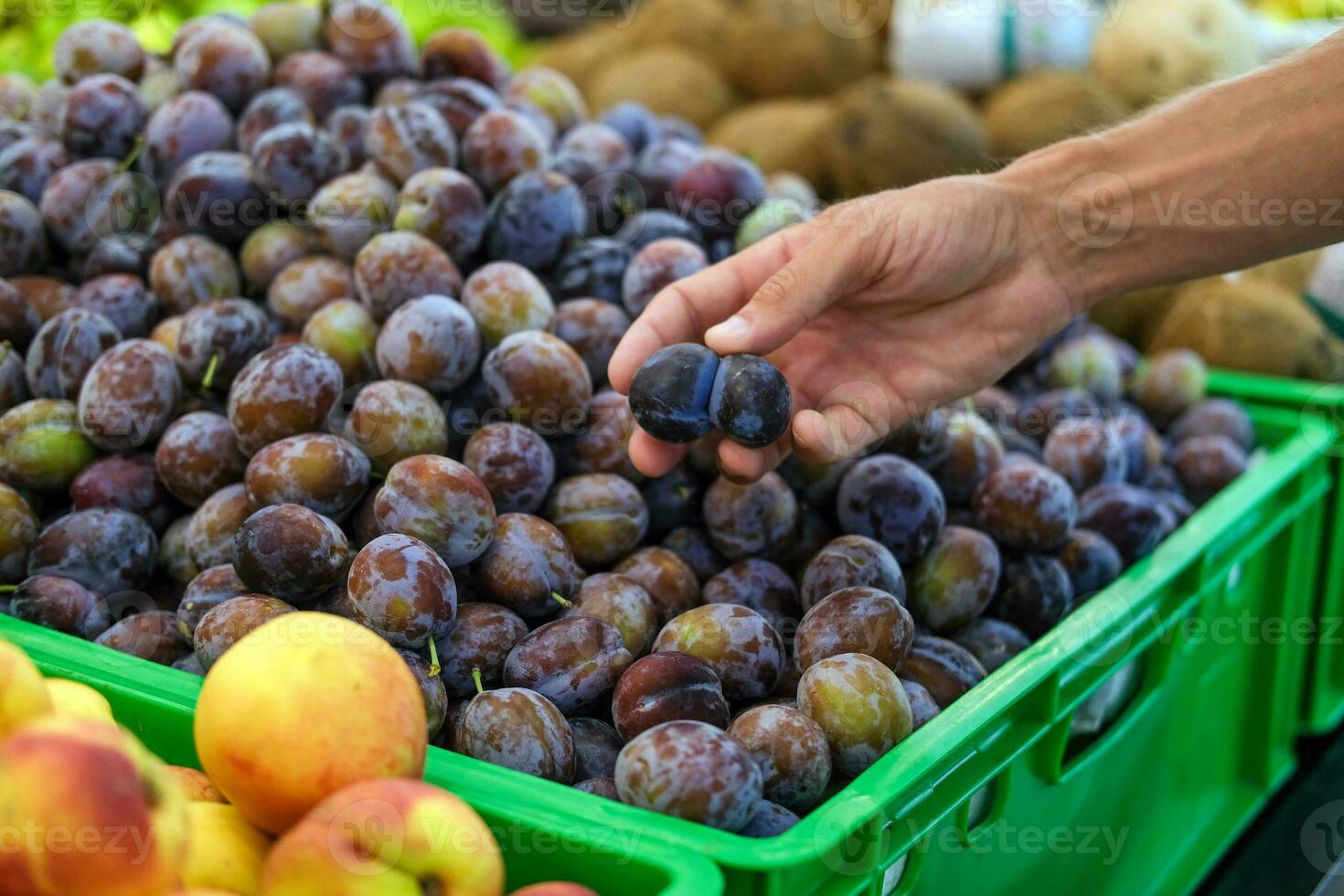 A man chooses a plum on a store counter. Plums ready for sale. Plums market. Plums after harvest. Common plum. photo