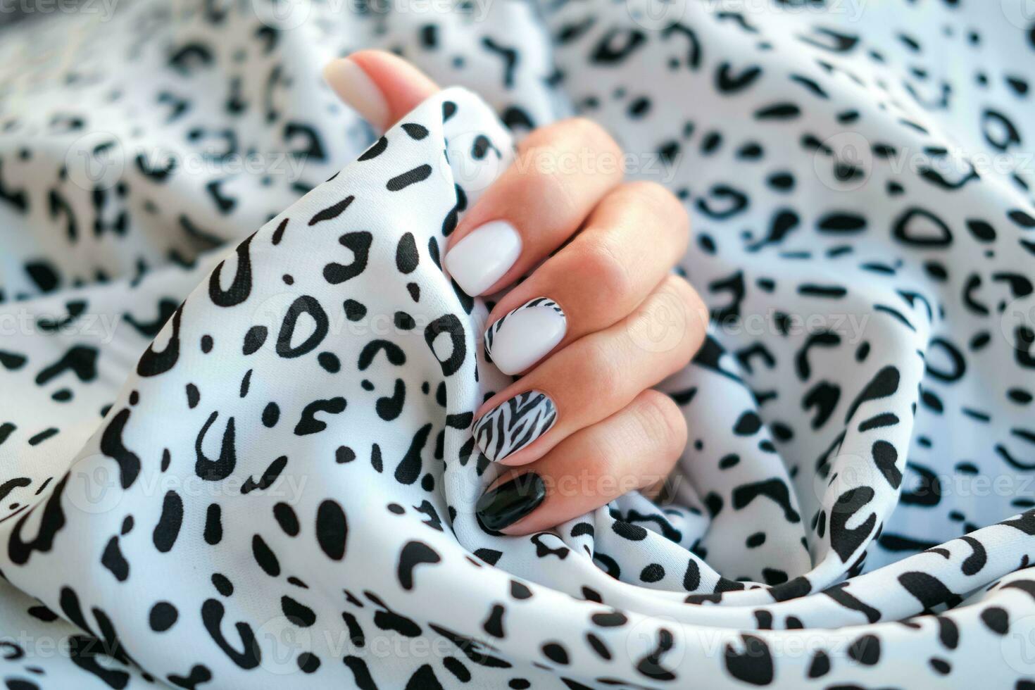 Beautiful female hands with manicure on the background of leopard fabric. Stylish nail design. Manicure with black and white zebra stripes on the nails. photo