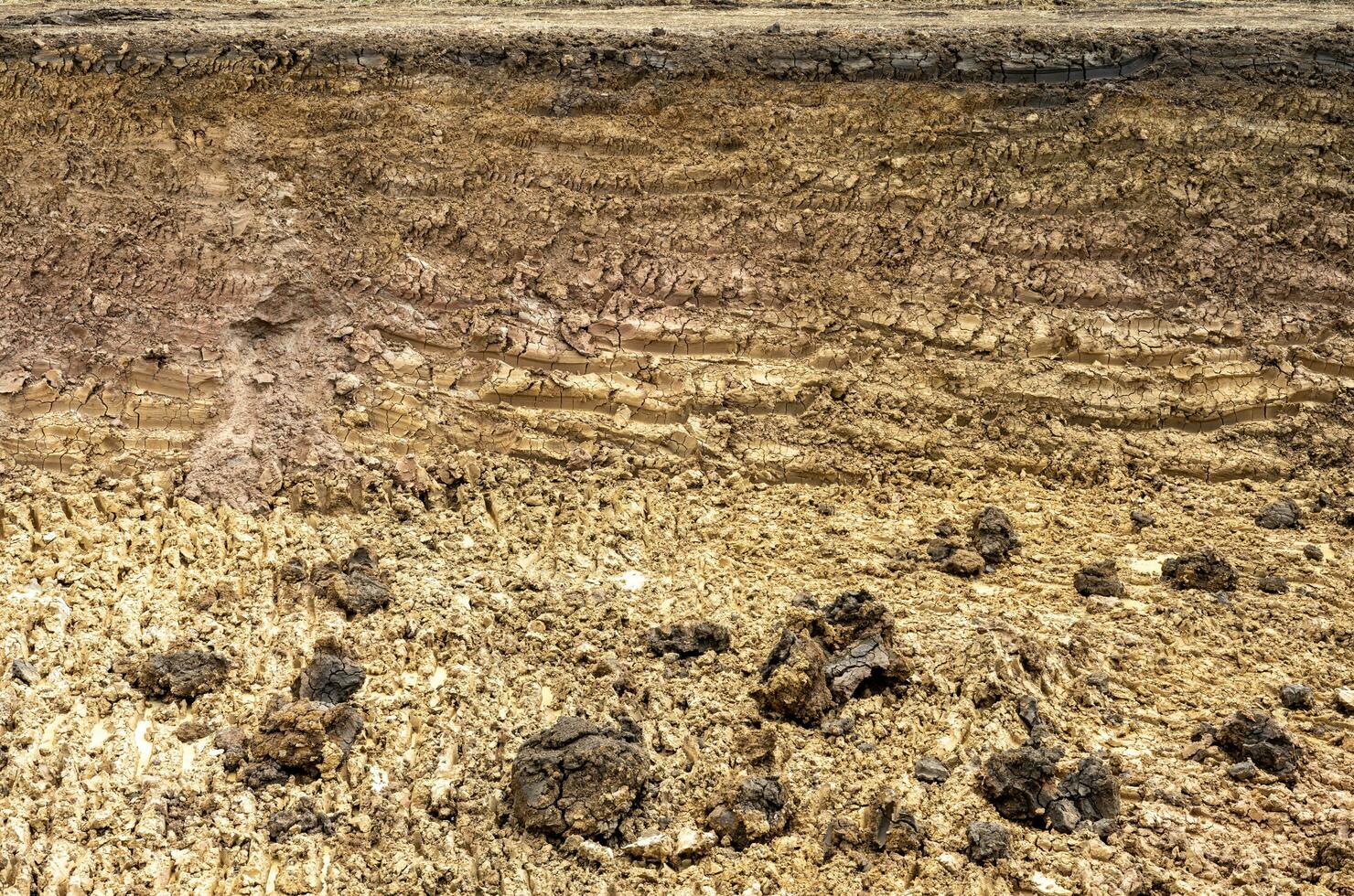 Background view of the basement section, which was dug into the shore. photo