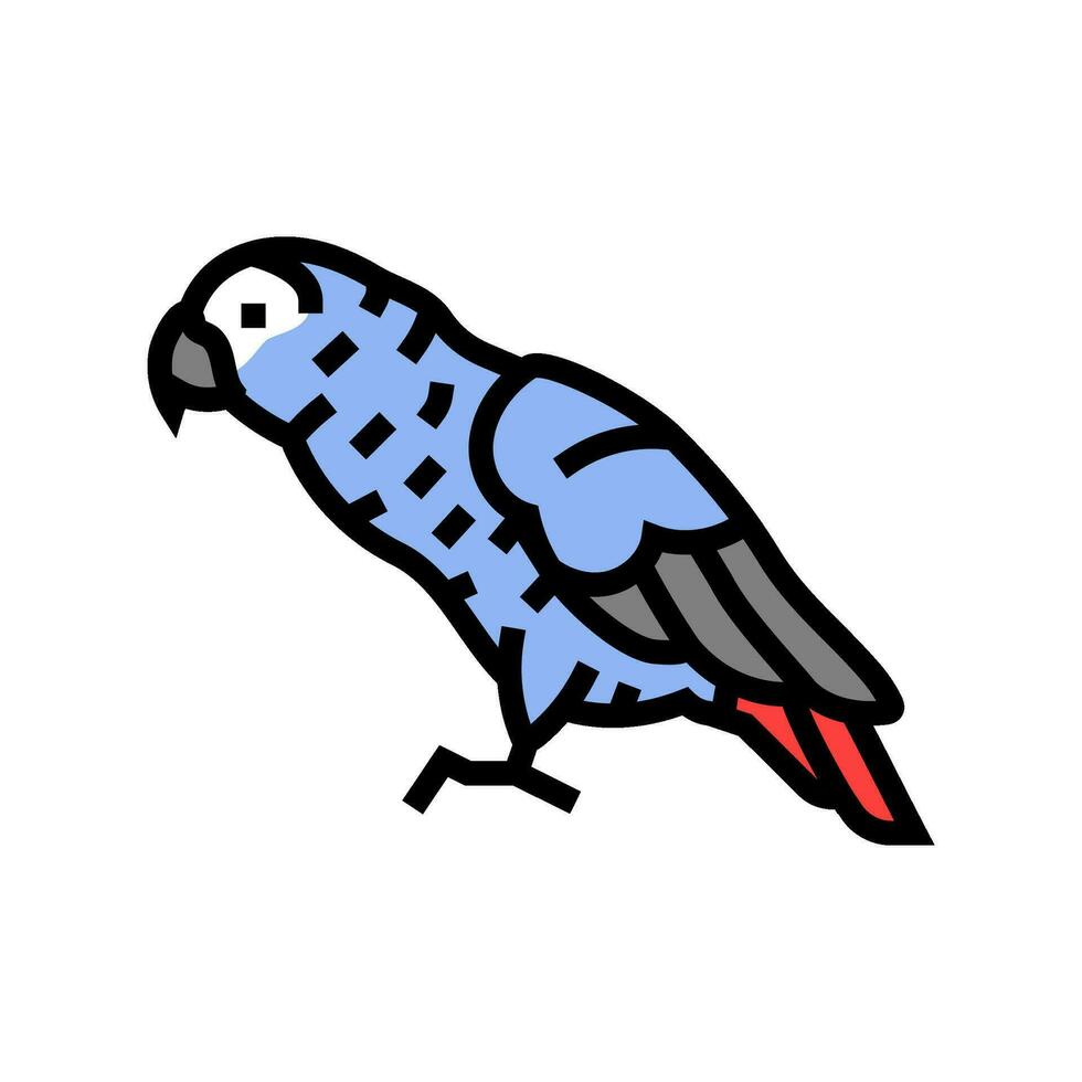 africano gris loro pájaro color icono vector ilustración