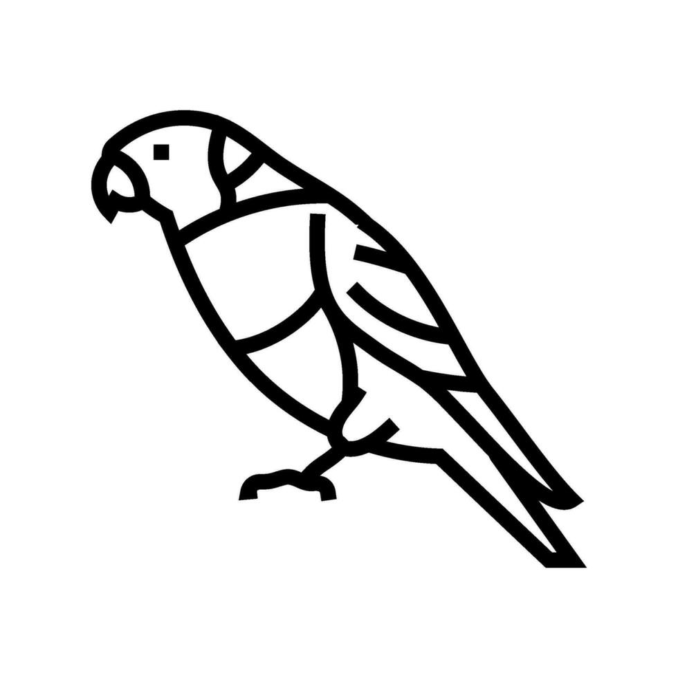rainbow lorikeet parrot bird line icon vector illustration