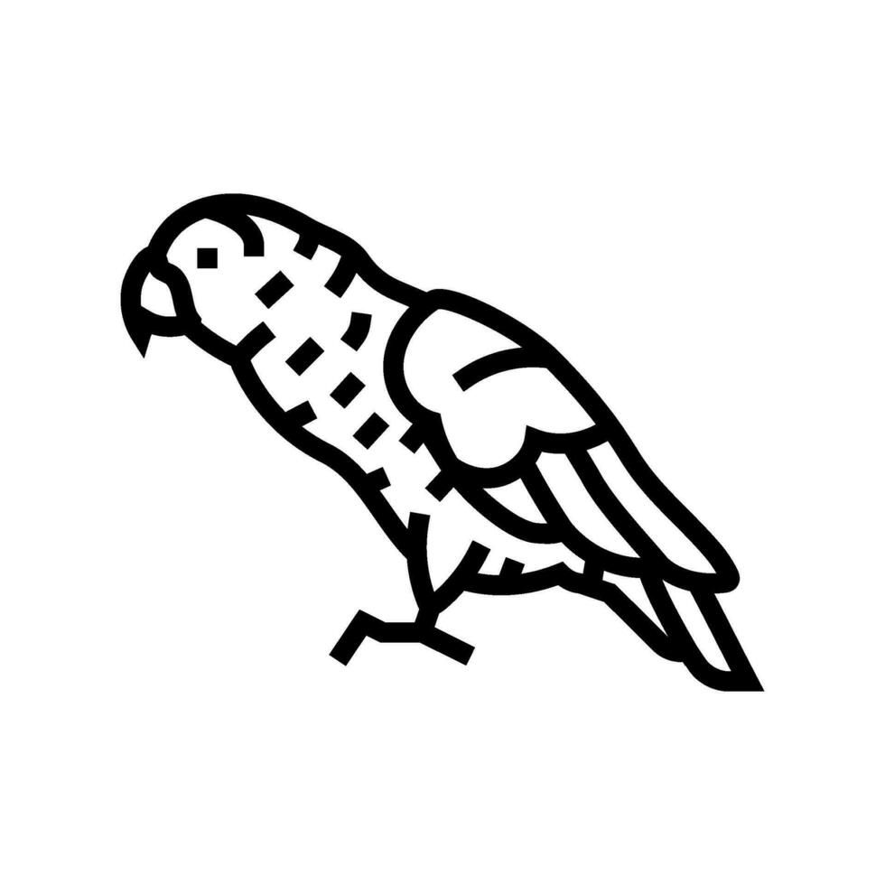 african grey  parrot bird line icon vector illustration