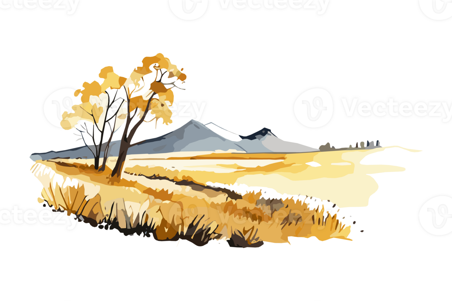 Watercolor golden field with crops on transparent background, PNG. Hand-drawn golden agriculture, cultivation, countryside landscape field for t-shirts, book covers, and print media decorations png