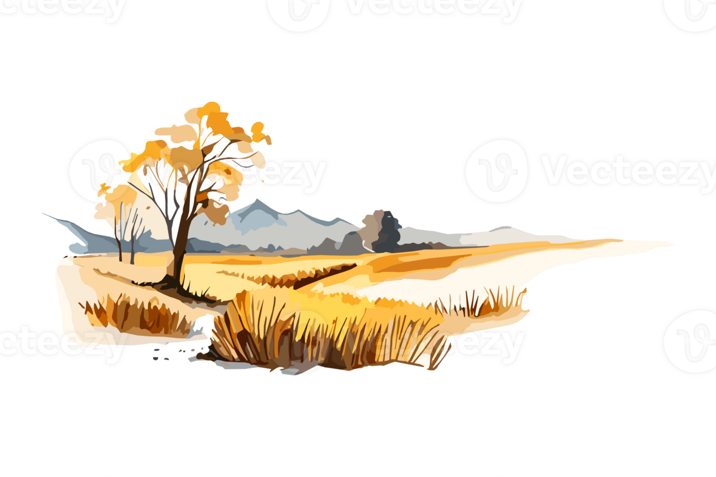 Watercolor golden field with crops on transparent background, PNG. Hand-drawn golden agriculture, cultivation, countryside landscape field for t-shirts, book covers, and print media decorations png