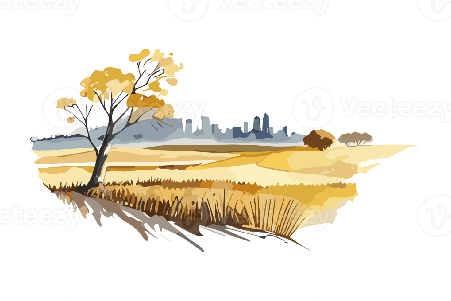 Watercolor golden field with crops on transparent background, PNG. Hand-drawn golden agriculture, cultivation, countryside landscape field for t-shirts, book covers, and print media decorations png