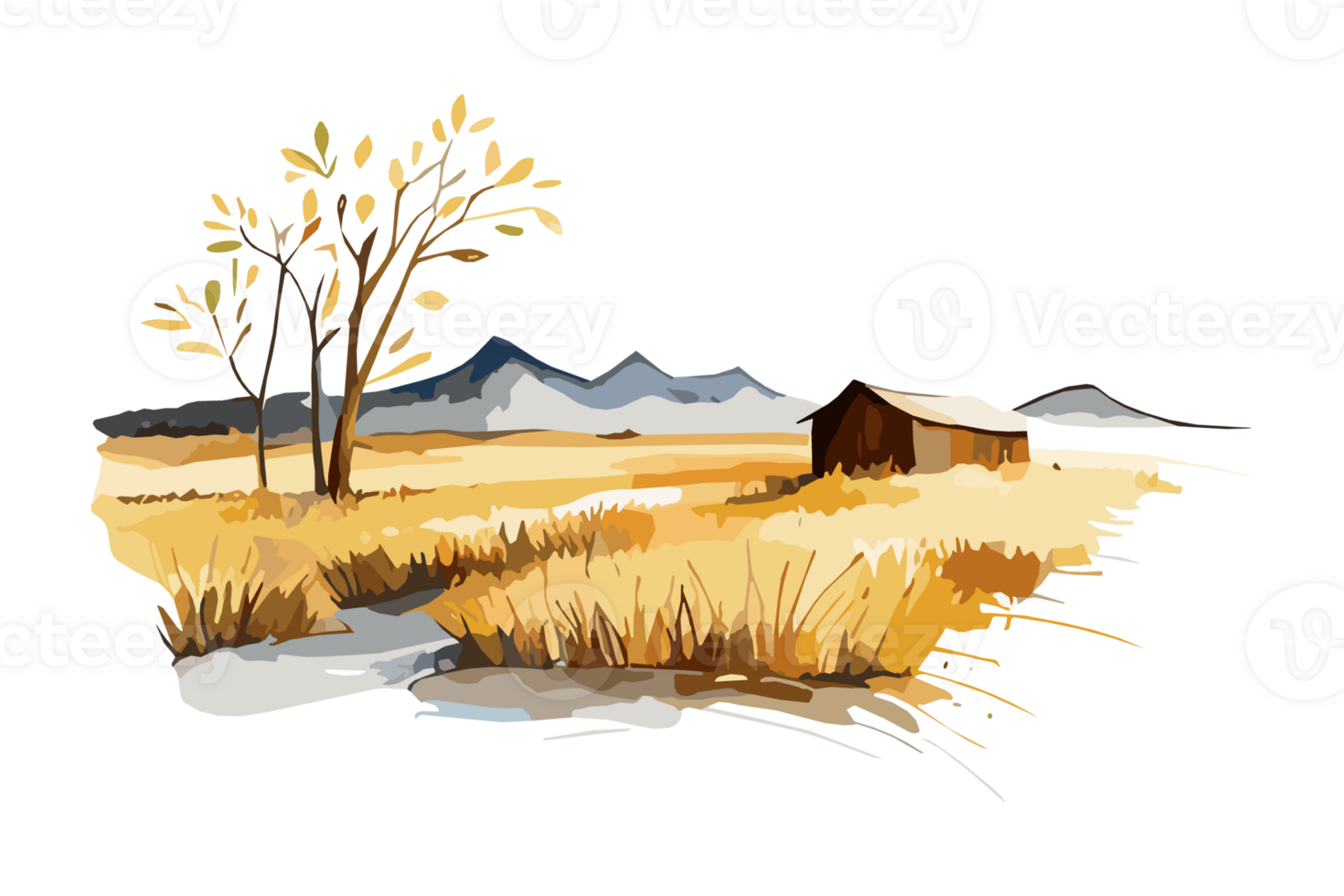 Watercolor golden field with crops on transparent background, PNG. Hand-drawn golden agriculture, cultivation, countryside landscape field for t-shirts, book covers, and print media decorations png