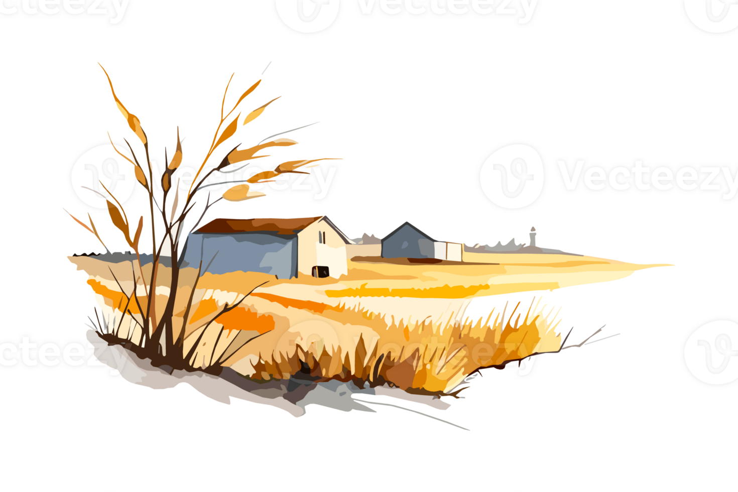 Watercolor golden field with crops on transparent background, PNG. Hand-drawn golden agriculture, cultivation, countryside landscape field for t-shirts, book covers, and print media decorations png