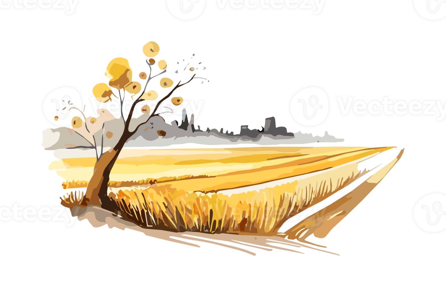 Watercolor golden field with crops on transparent background, PNG. Hand-drawn golden agriculture, cultivation, countryside landscape field for t-shirts, book covers, and print media decorations png