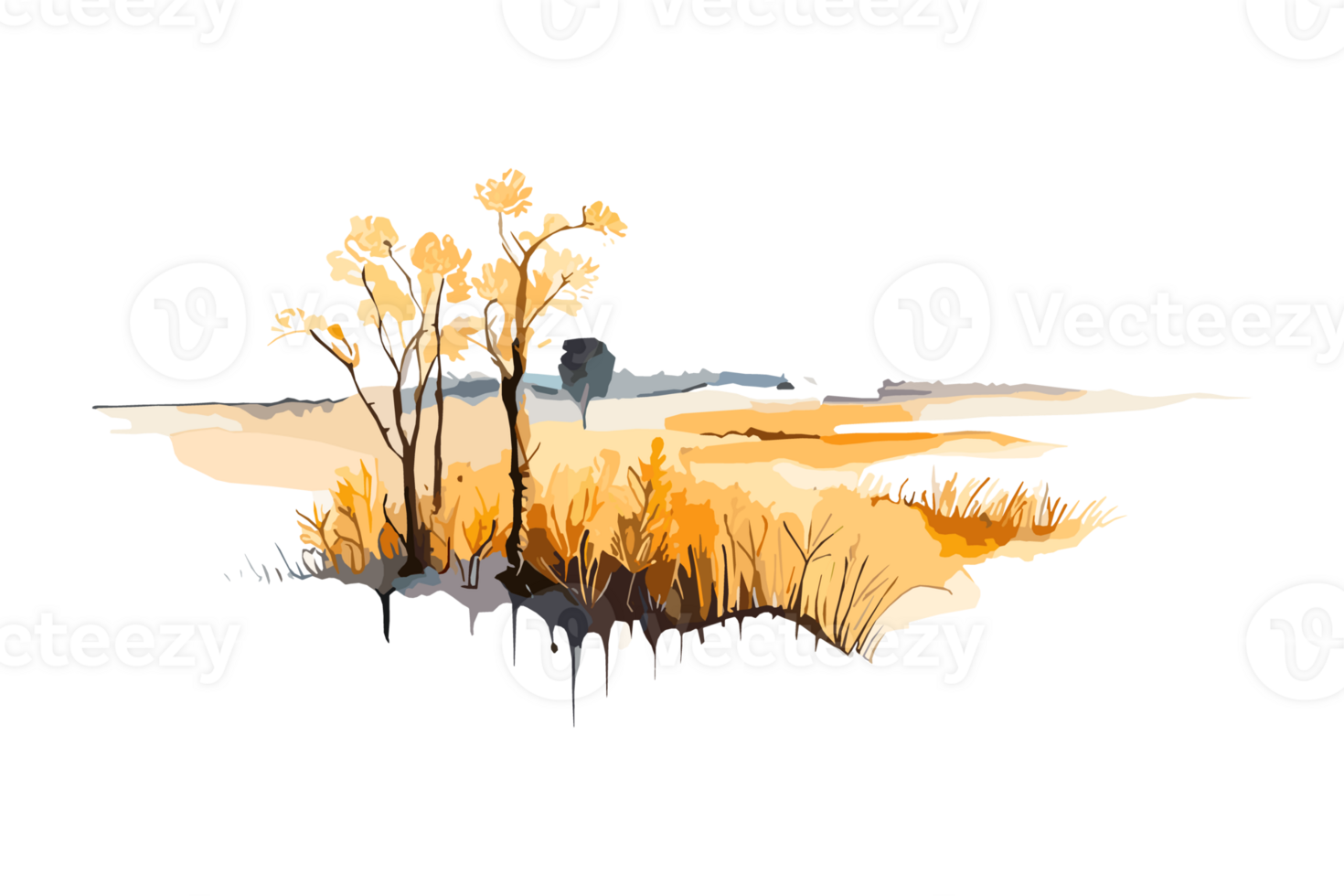 Watercolor golden field with crops on transparent background, PNG. Hand-drawn golden agriculture, cultivation, countryside landscape field for t-shirts, book covers, and print media decorations png