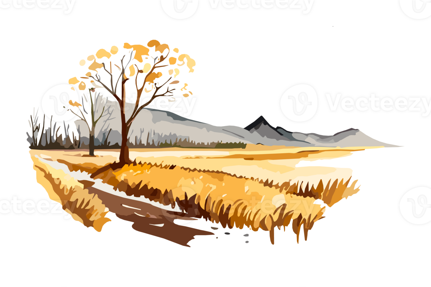 Watercolor golden field with crops on transparent background, PNG. Hand-drawn golden agriculture, cultivation, countryside landscape field for t-shirts, book covers, and print media decorations png