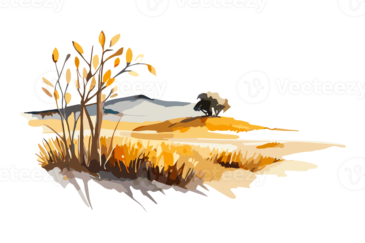 Watercolor golden field with crops on transparent background, PNG. Hand-drawn golden agriculture, cultivation, countryside landscape field for t-shirts, book covers, and print media decorations png