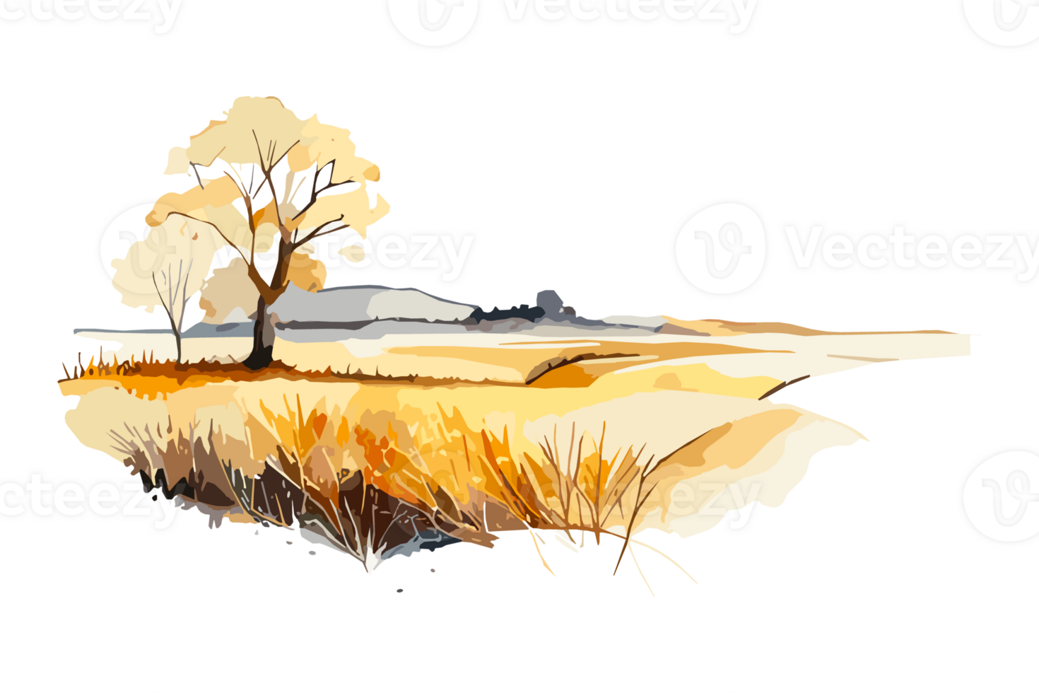 Watercolor golden field with crops on transparent background, PNG. Hand-drawn golden agriculture, cultivation, countryside landscape field for t-shirts, book covers, and print media decorations png