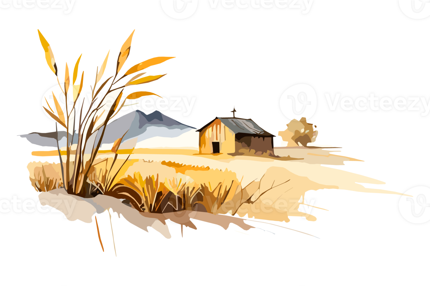 Watercolor golden field with crops on transparent background, PNG. Hand-drawn golden agriculture, cultivation, countryside landscape field for t-shirts, book covers, and print media decorations png