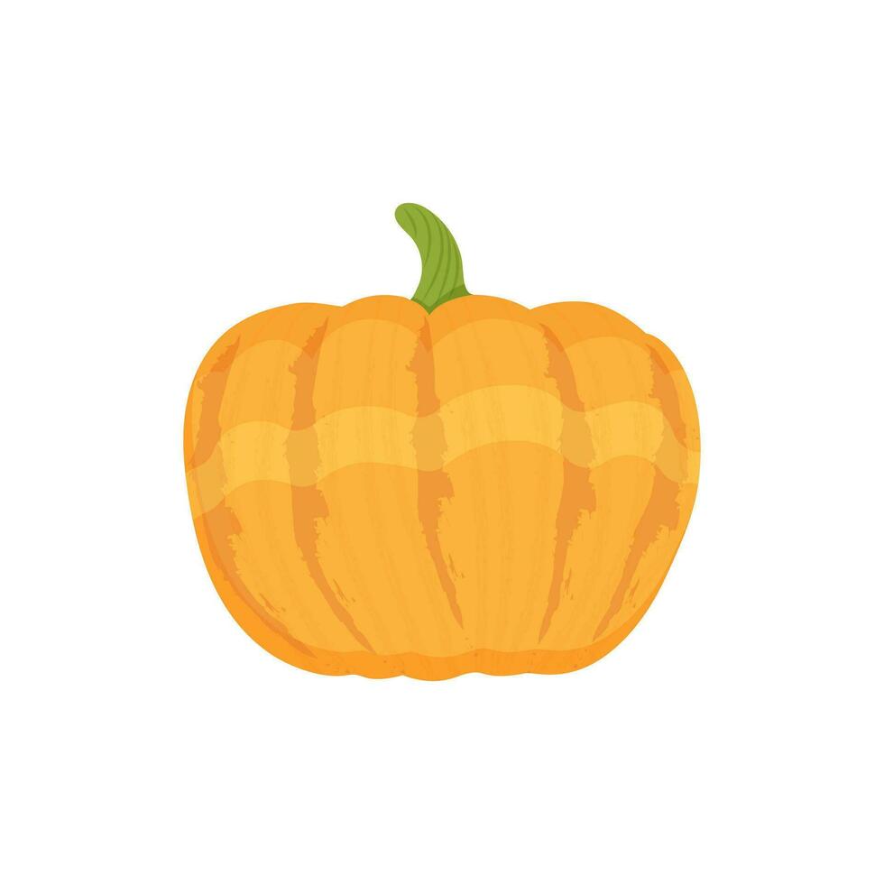 Pumpkin autumn vegetable, Pumpkin harvest on a white background. Vector illustration