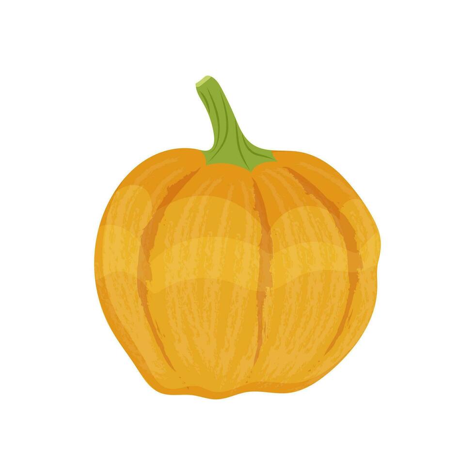 Yellow pumpkin autumn vegetable, Pumpkin harvest on a white background. Vector illustration