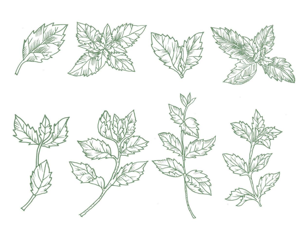 Hand Drawn Sewing Kit Illustration vector