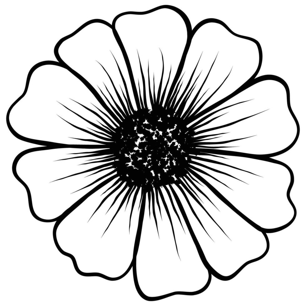 cosmos flower hand drawn vector
