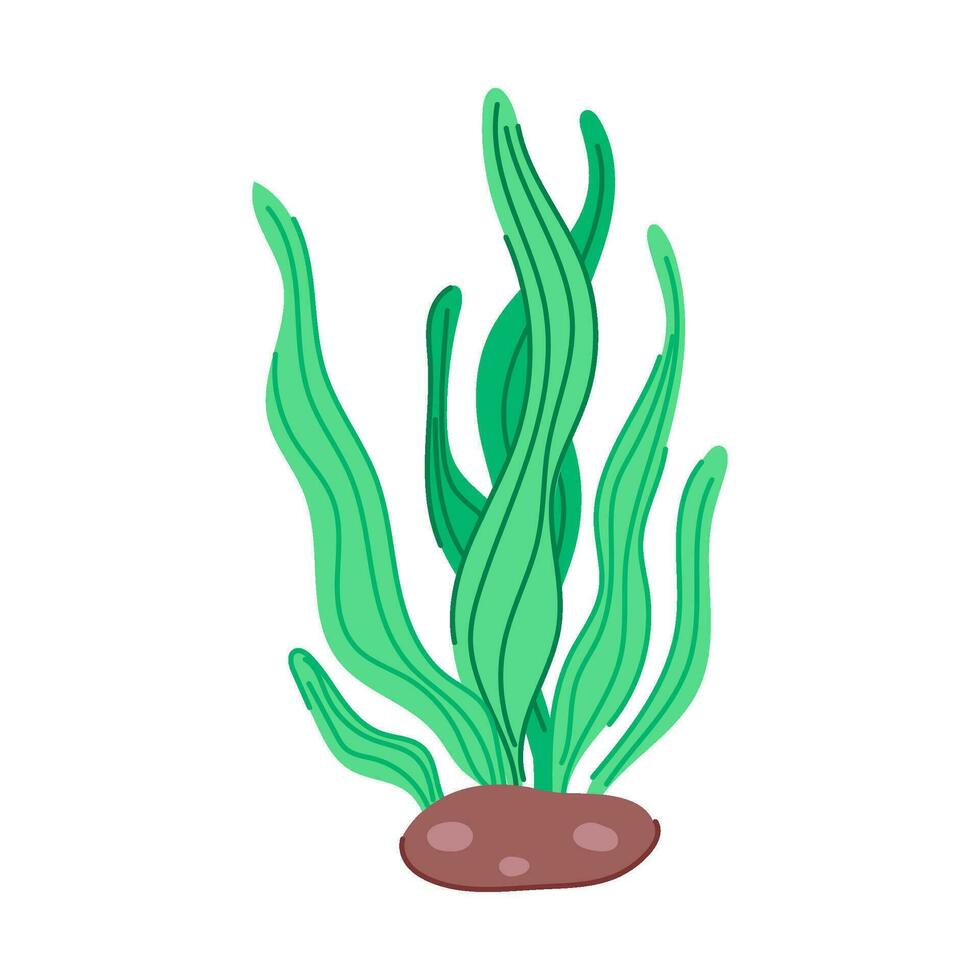 alga aquarium plant cartoon vector illustration