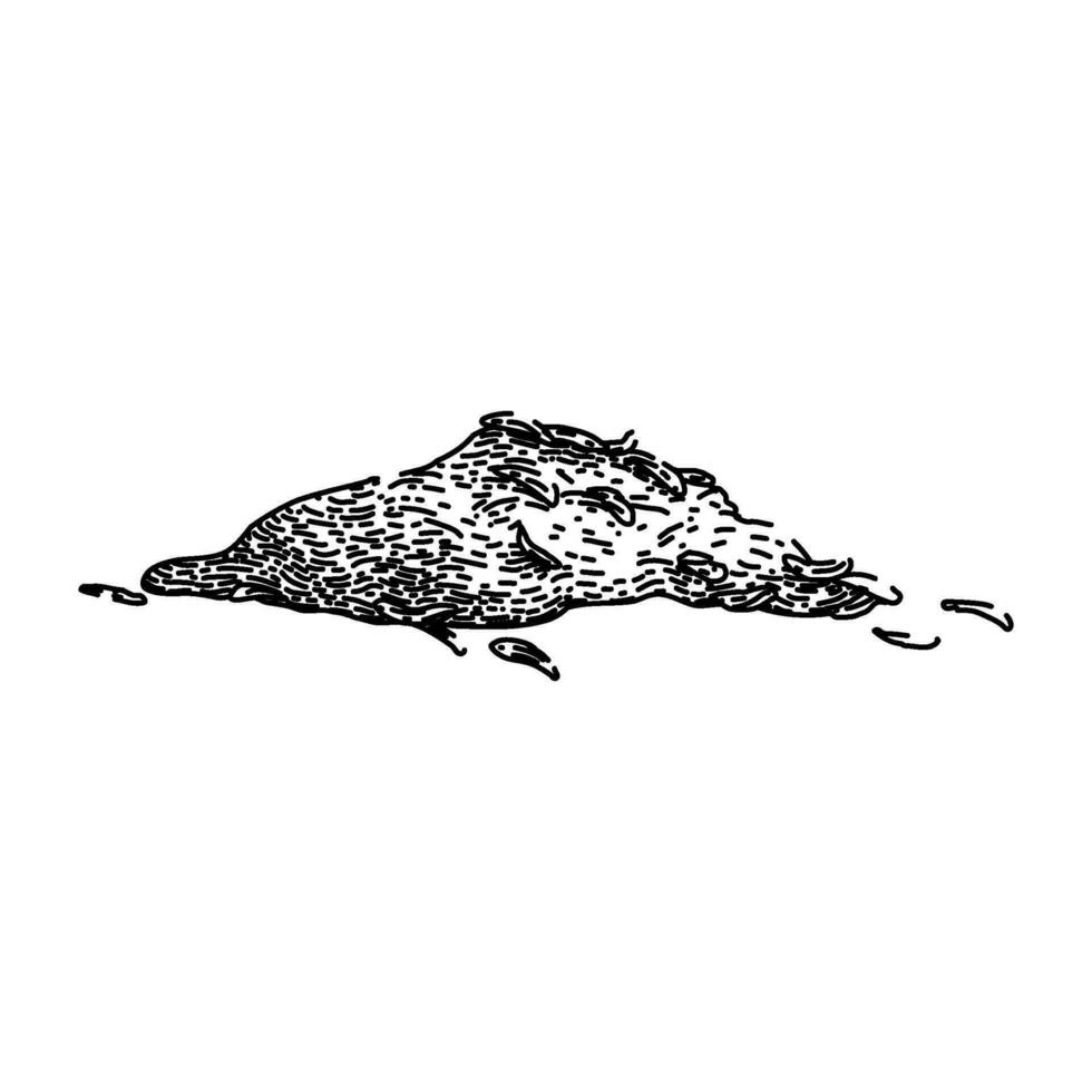organic thyme leaf sketch hand drawn vector