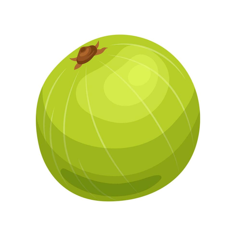 green amla fruit cartoon vector illustration