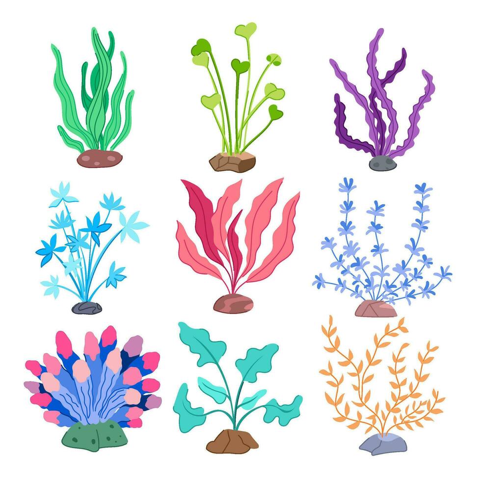 planta de acuario conjunto ilustración vectorial de dibujos animados vector