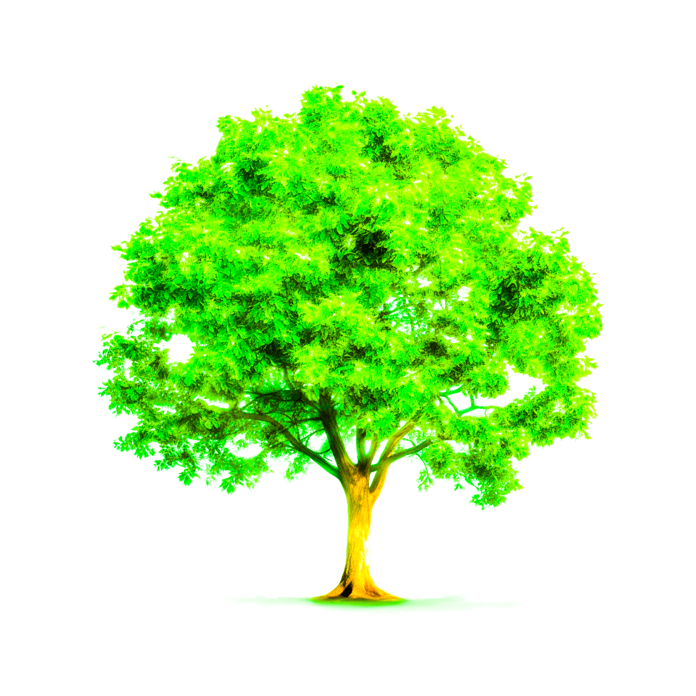 Green tree png generative ai
