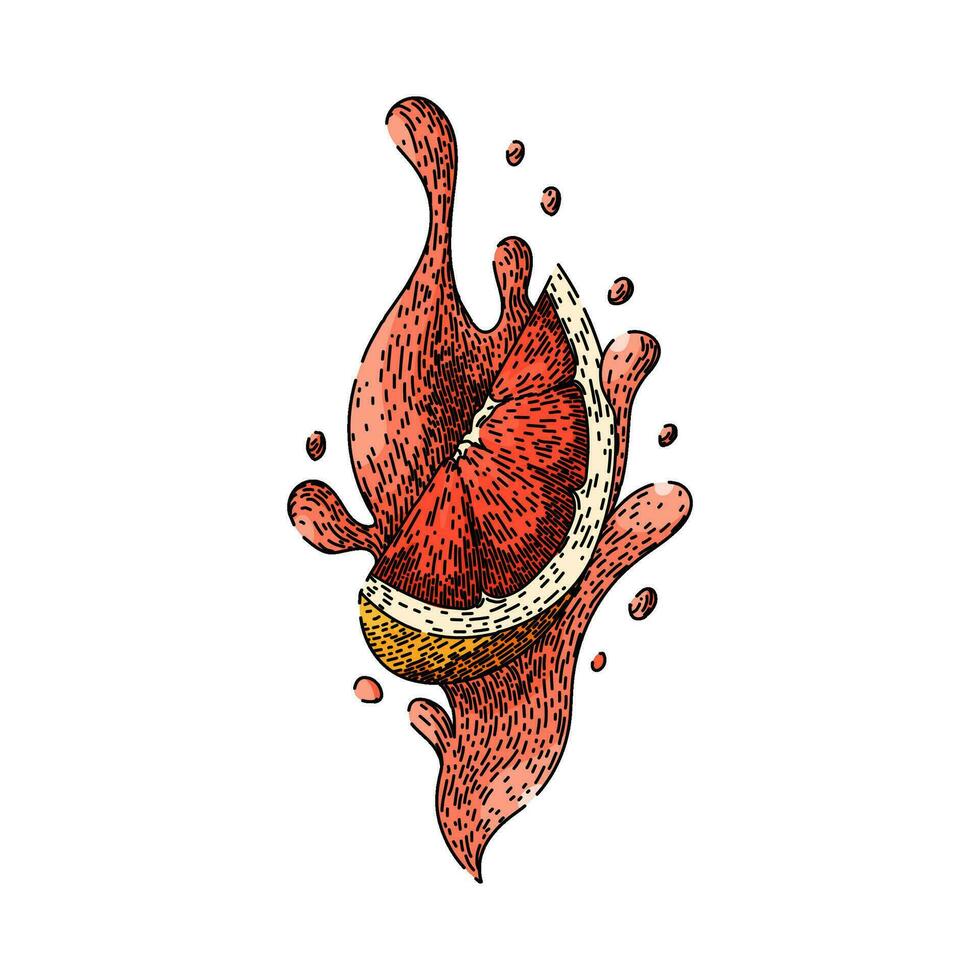 parte superior pomelo rojo bosquejo mano dibujado vector