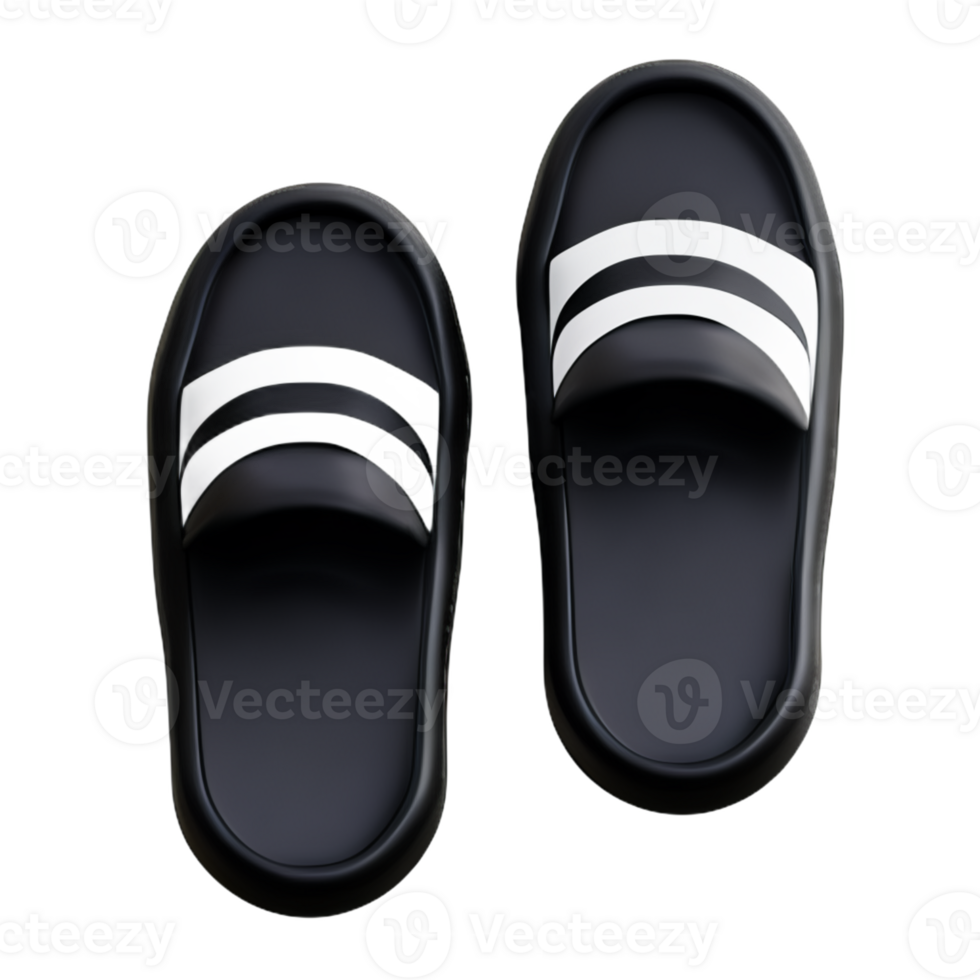Shoes isolated on white background png