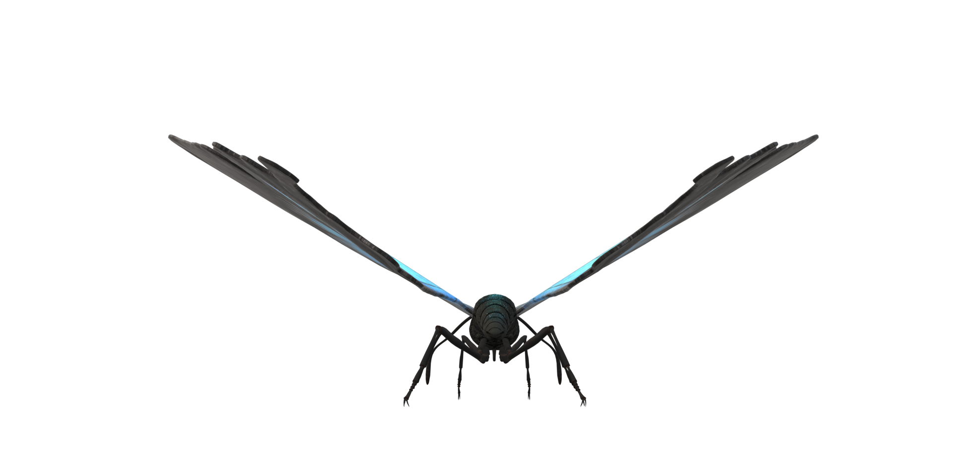 Butterfly isolated on a Transparent Background png