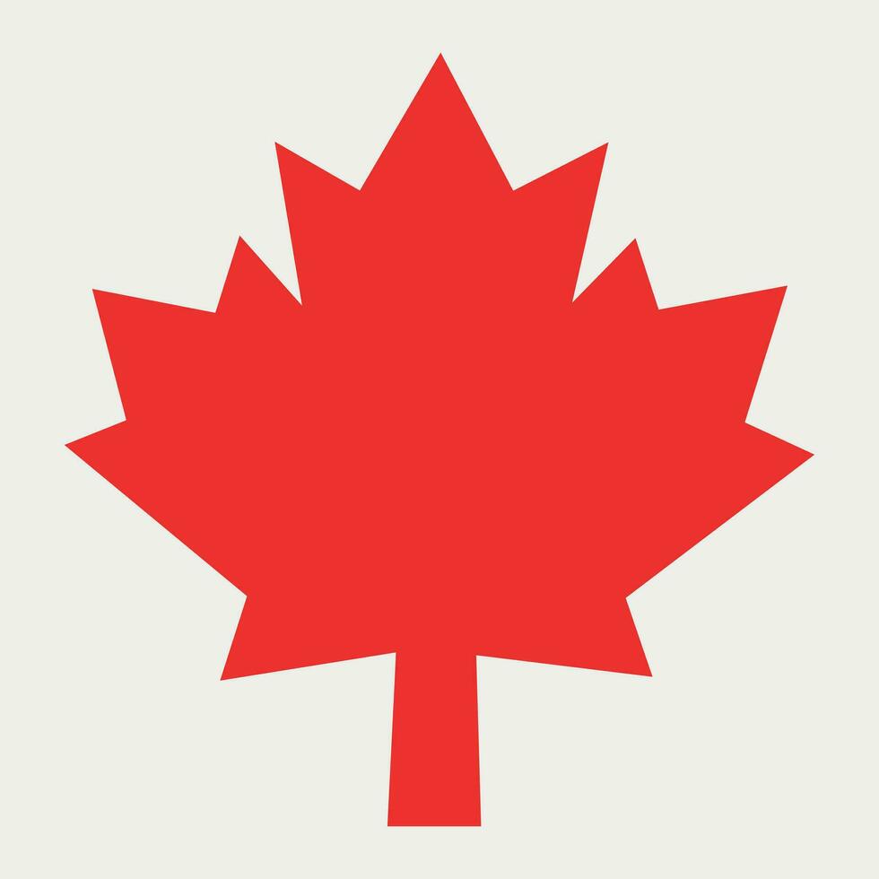 Canadian Maple Leaf isolated vector illustration