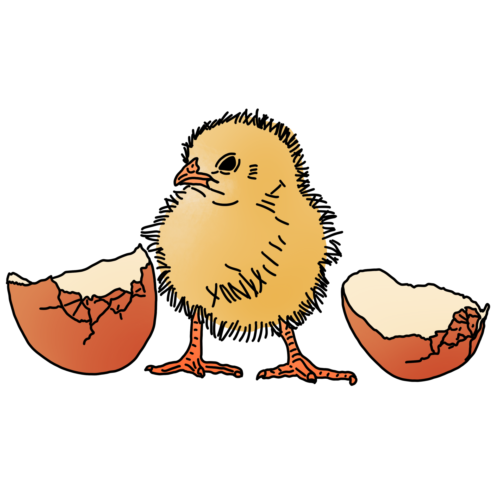 Little baby chicken 26827650 PNG