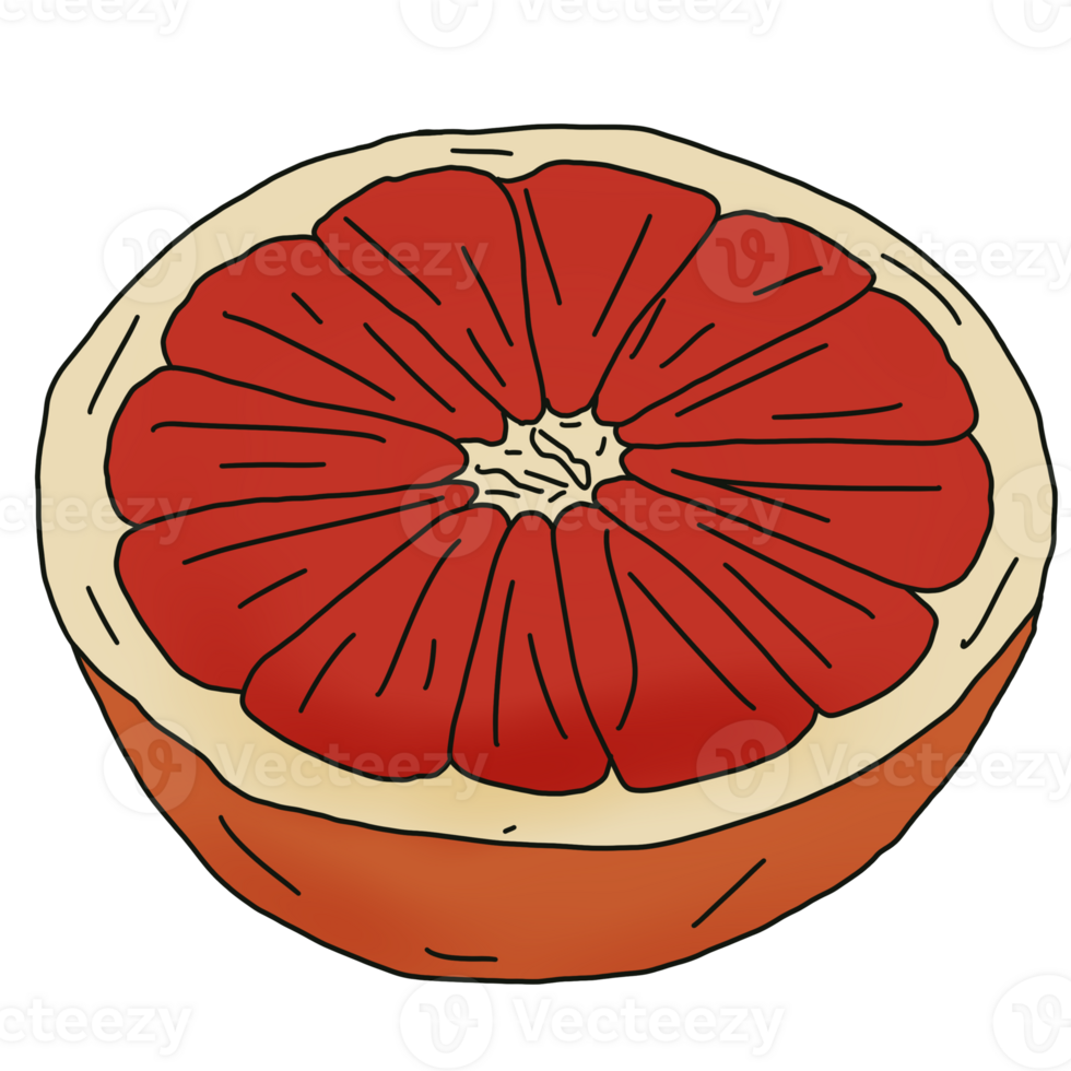 Slice of grapefruit png