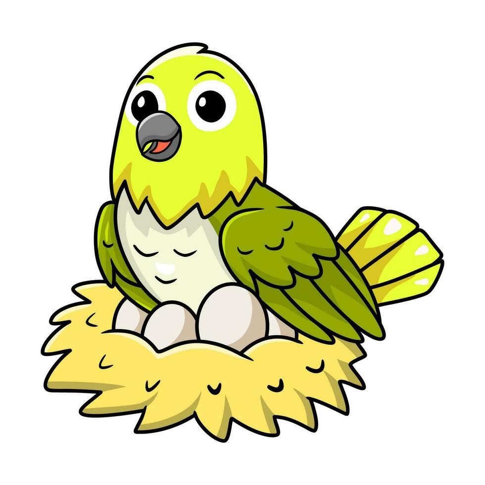 Cute warbling white eye bird cartoon with eggs in the nest vector