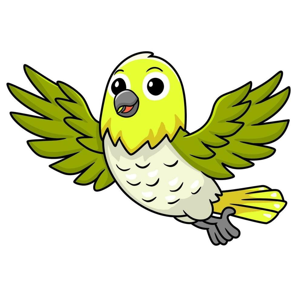 Cute warbling white eye bird cartoon flying vector