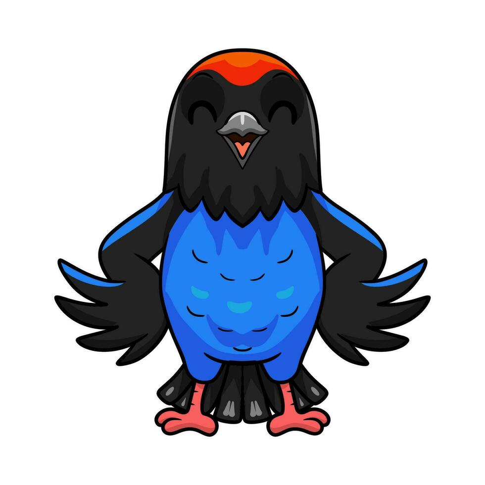 Cute blue manakin bird cartoon vector