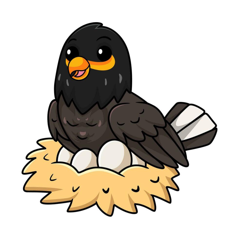 Cute myna bird cartoon with eggs in the nest vector