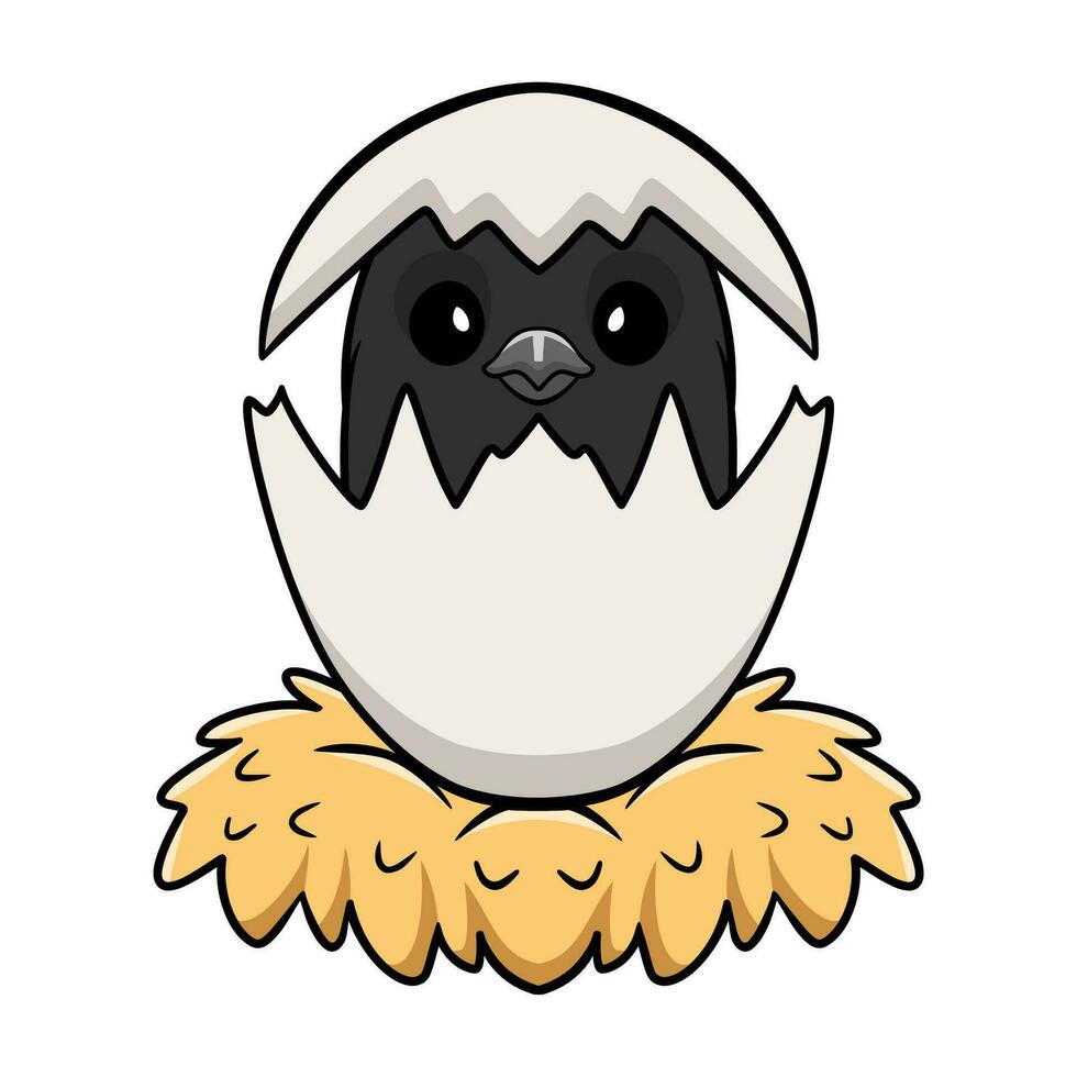 Cute venezuelan troupial bird cartoon inside from egg vector