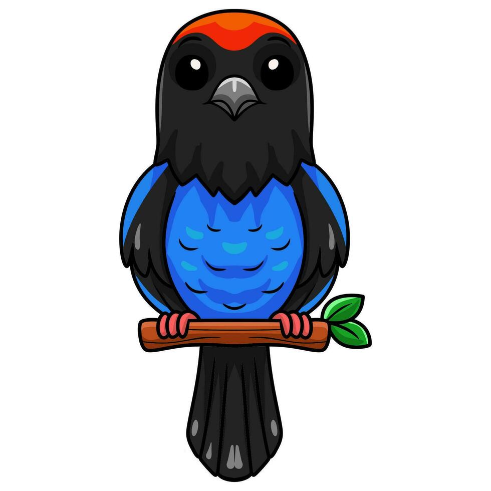 Cute blue manakin bird cartoon on tree branch vector