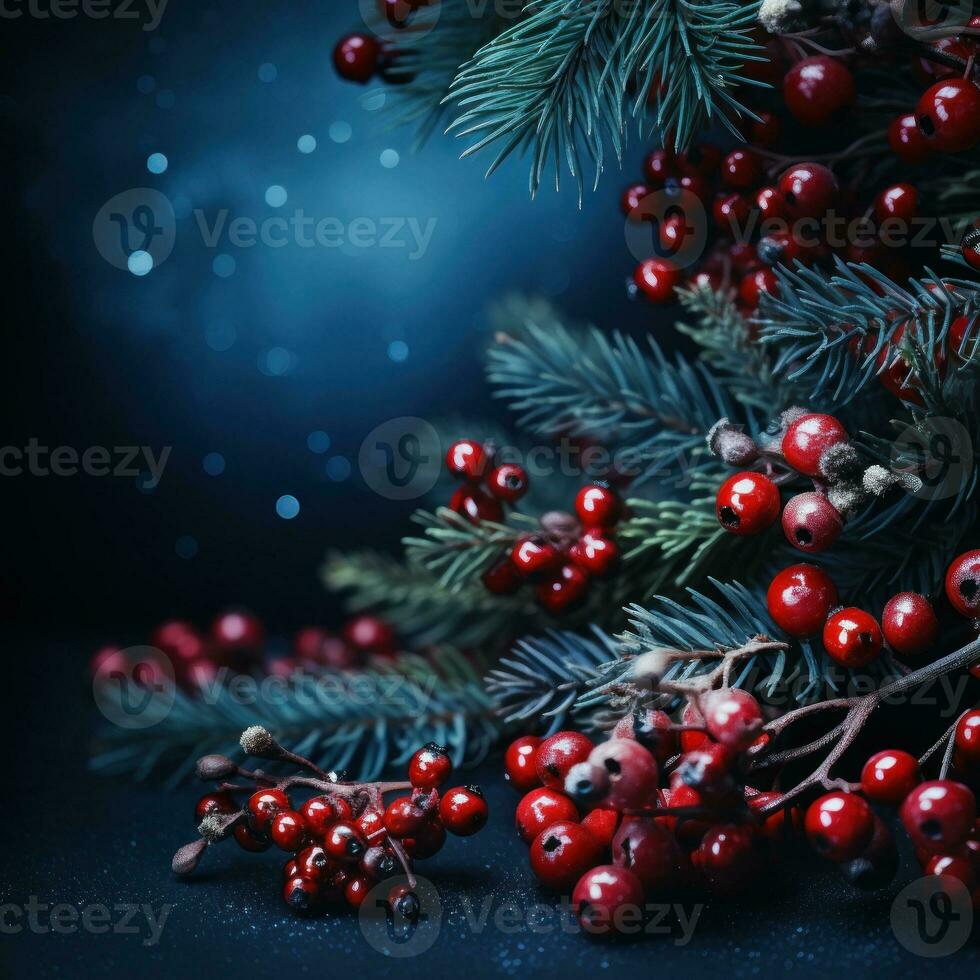 Christmas background with fir and berries photo