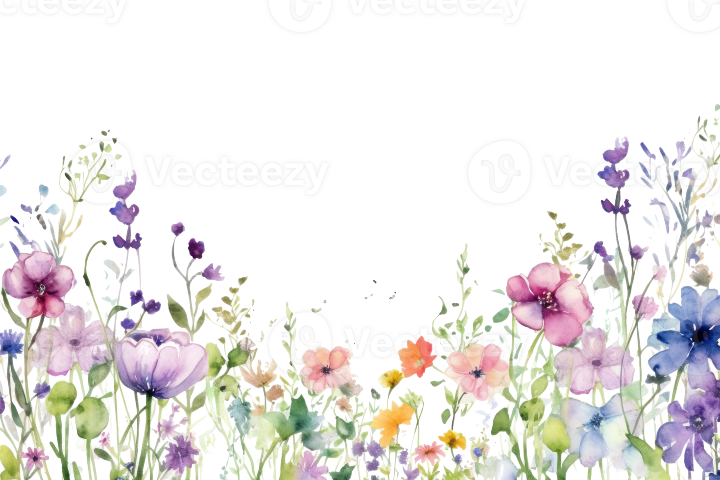 Watercolor floral border png