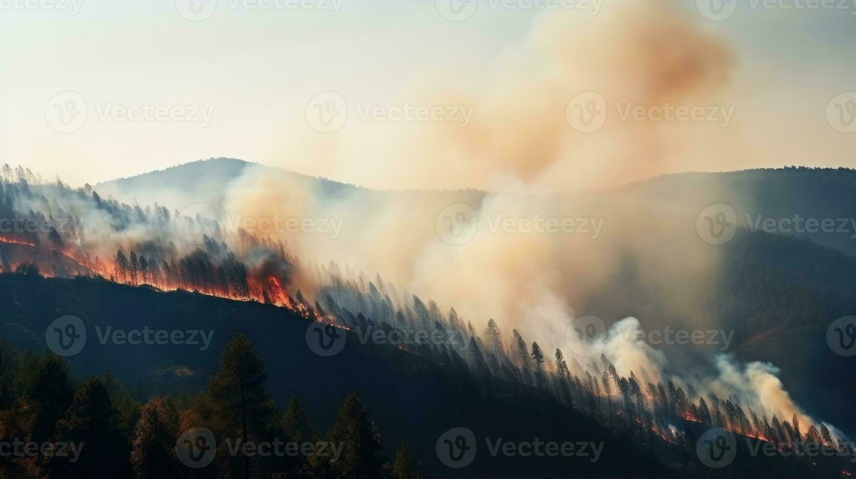 Forest fire background photo