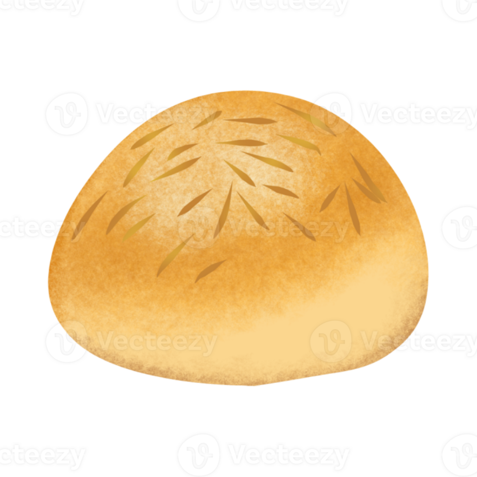 Pineapple cake Illustration png