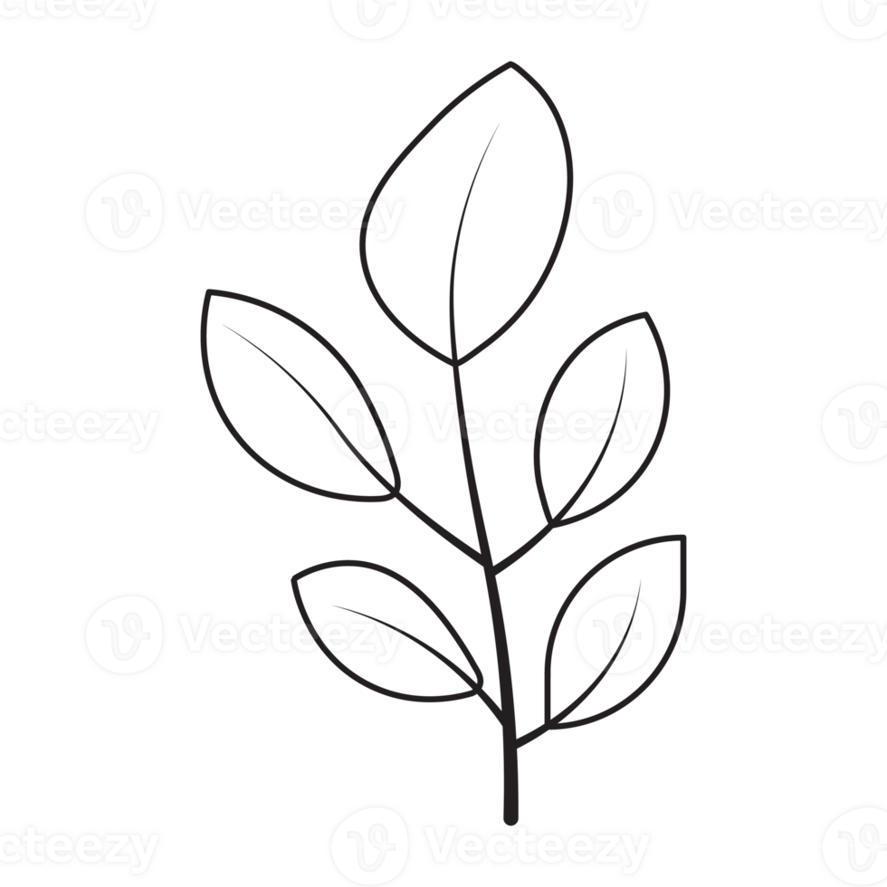 Lemon Leaf Flower Graphic Sketch Drawing Outline Style png