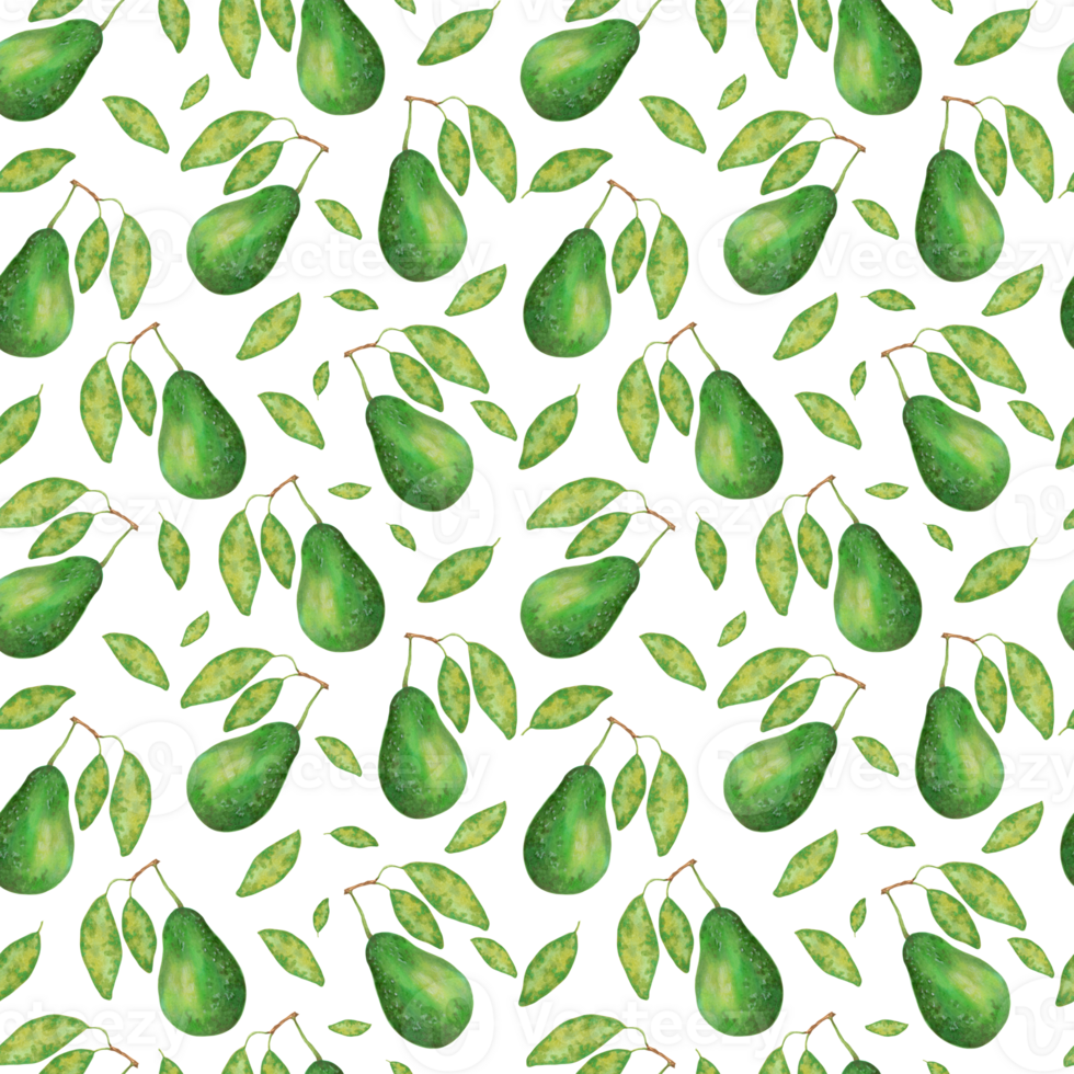 Fruity seamless pattern of avocado and leaves. Texture for eco and healthy food for printing on fabric, paper. Watercolor and marker illustration. png