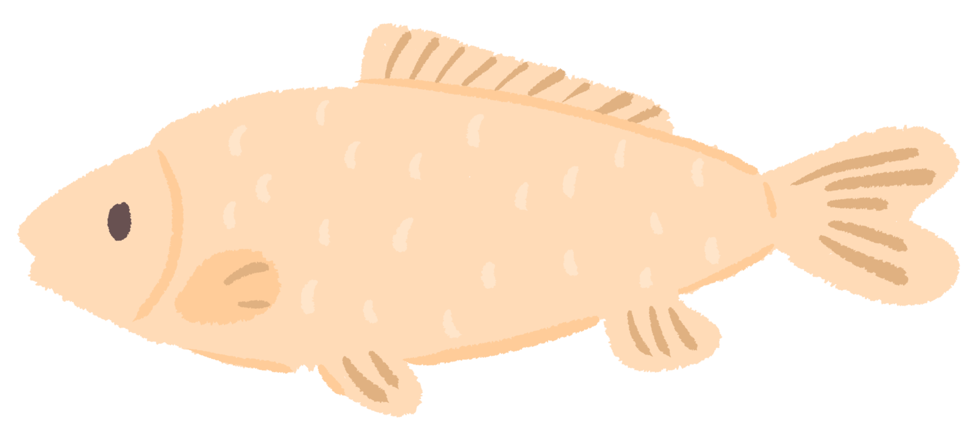 Raw Cream Fish png