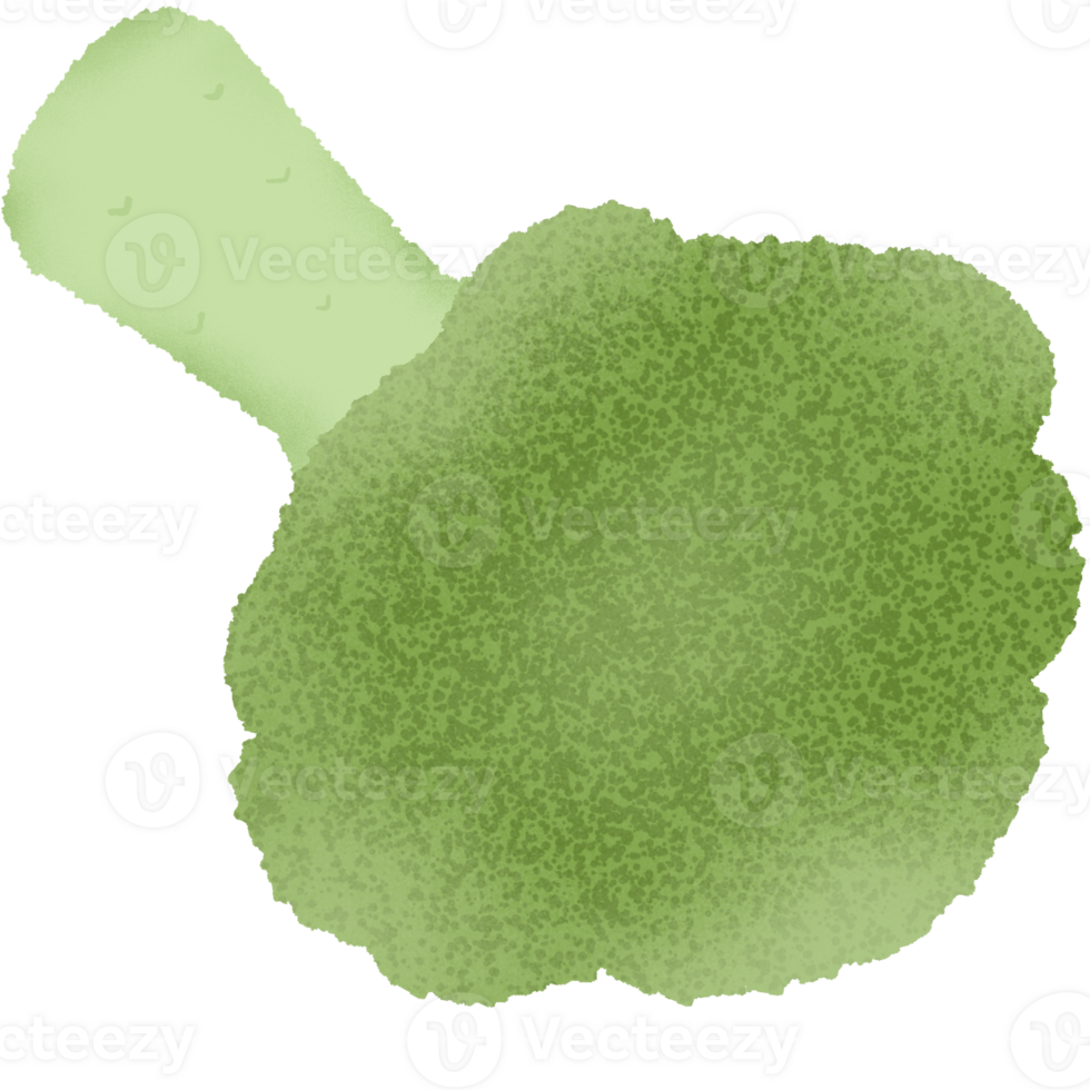 Green vegetable broccoli png