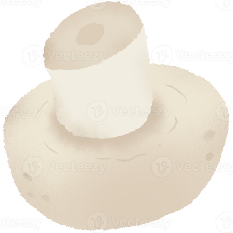 Mushroom for make a food png