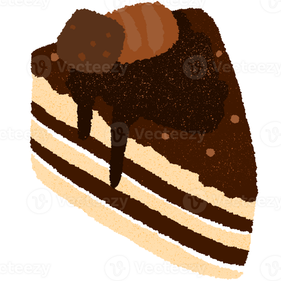 tasty chocolate cake png