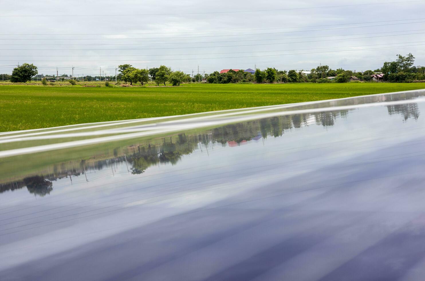 A close-up view of a reflection on a blue solar panel over green rice paddies. photo